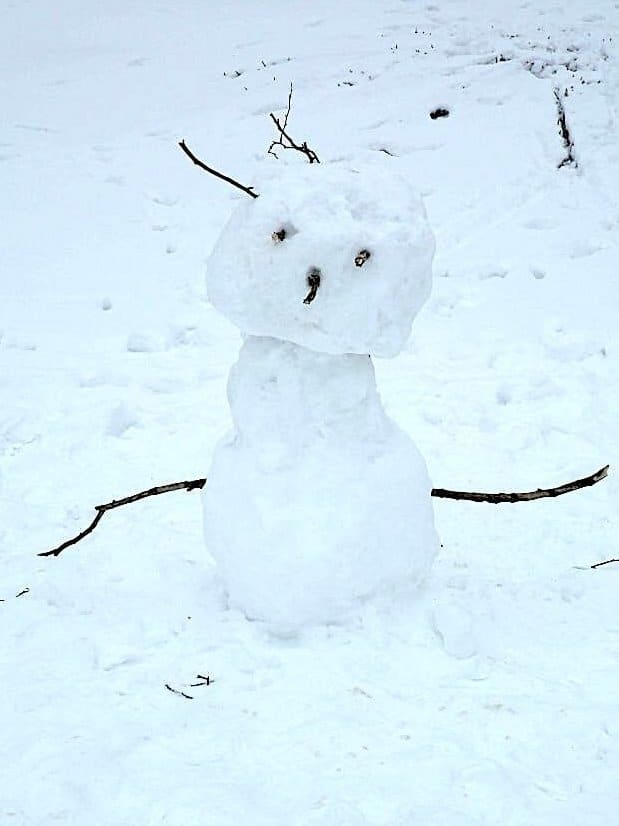 Kleiner Schneemann