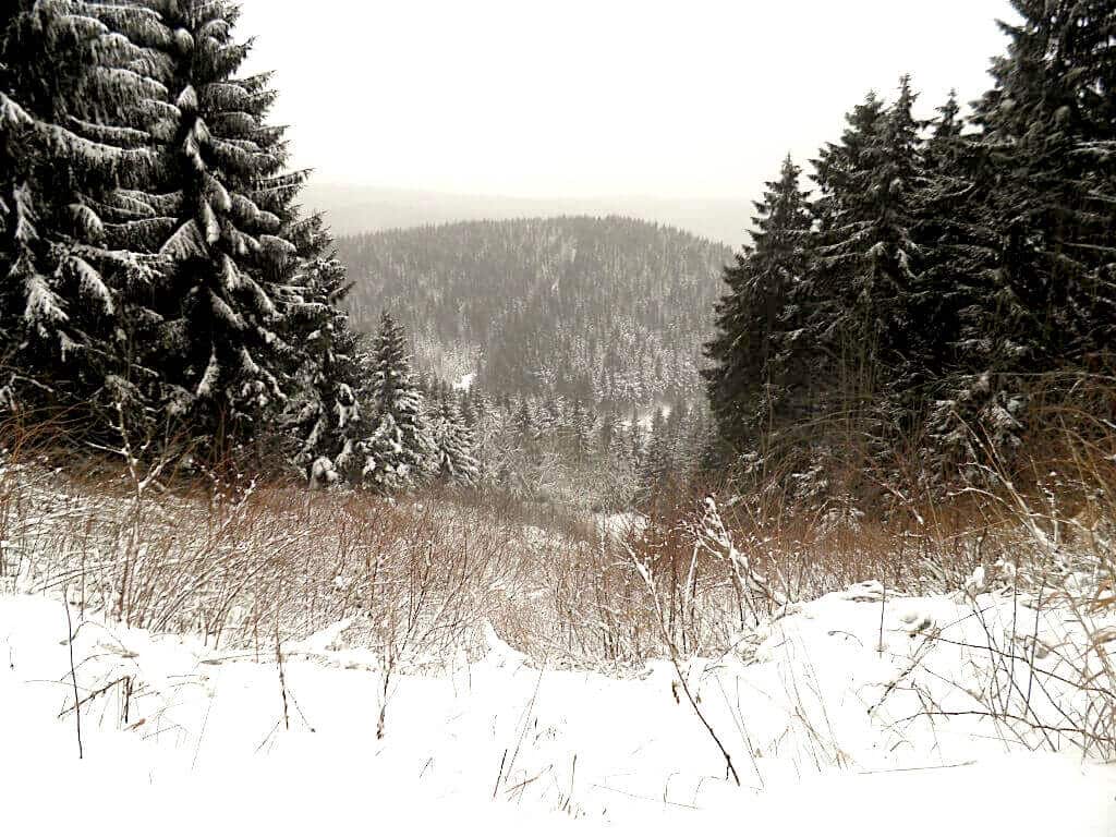 Düstere Winterlandschaft mit Schnee