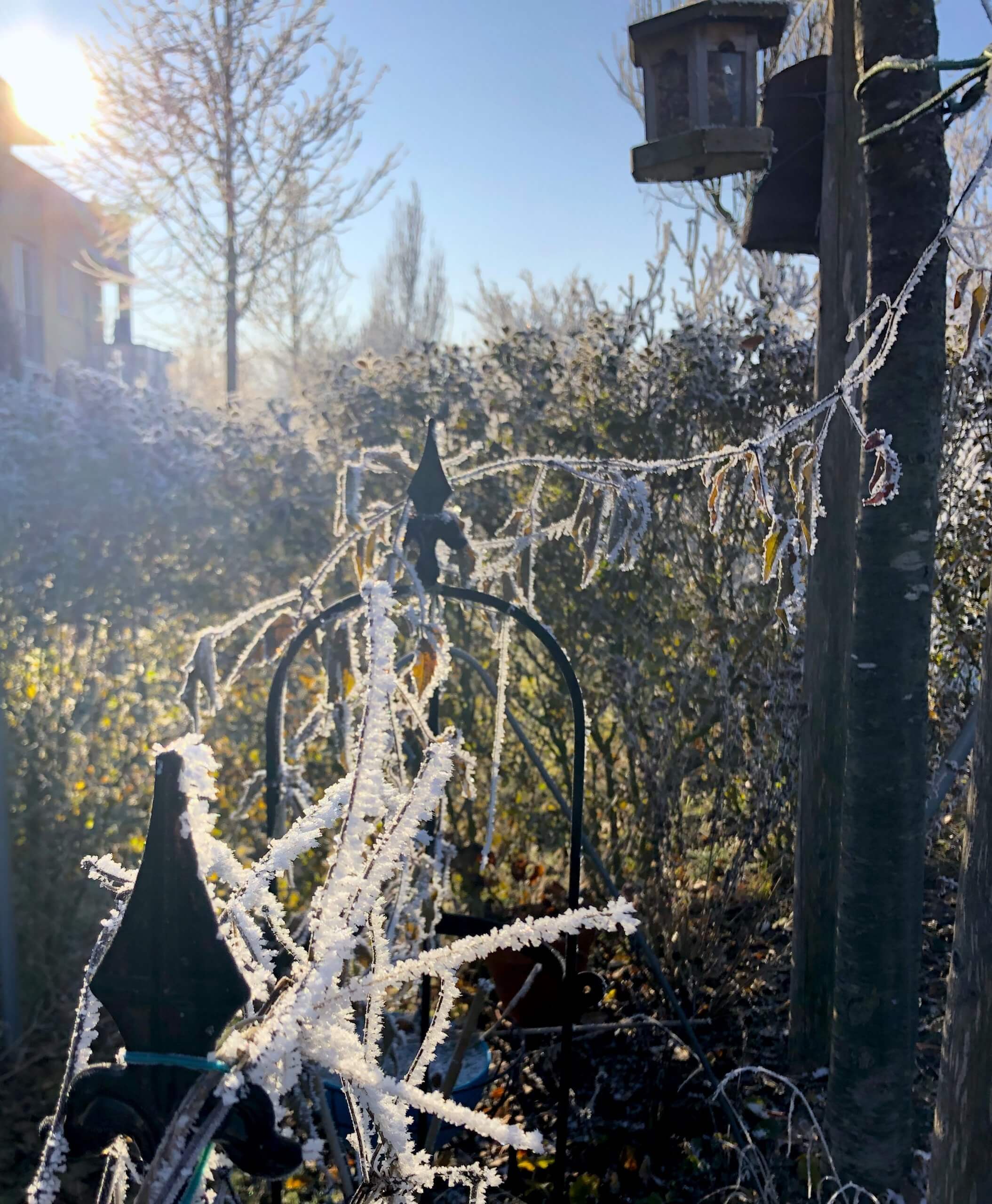 Vogelhaus und Nistkasten in einem Baum im Garten